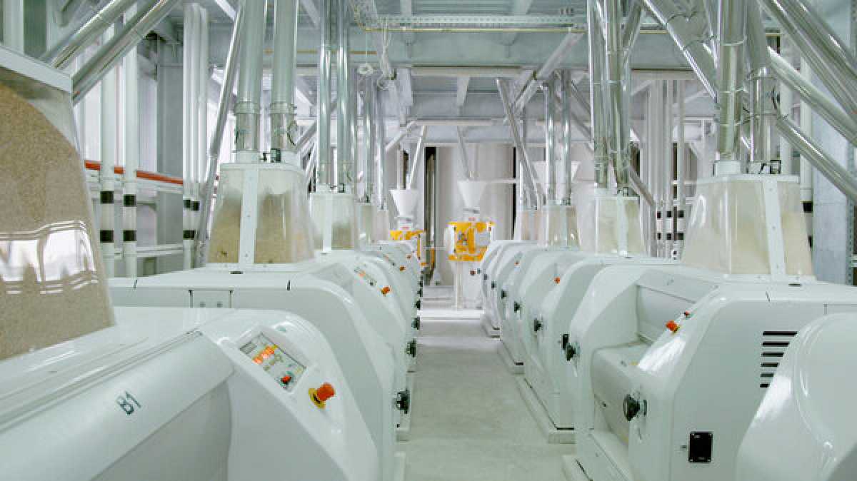 Правительство одобрило соглашение об инвестициях: в Акмолинской области построят завод по глубокой переработке зерна