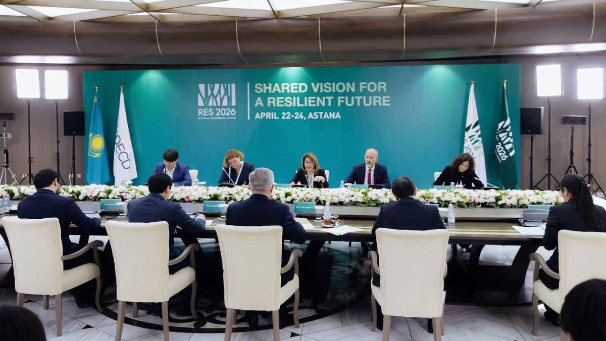 Казахстан и ОЭСР обсудили расширение сотрудничества