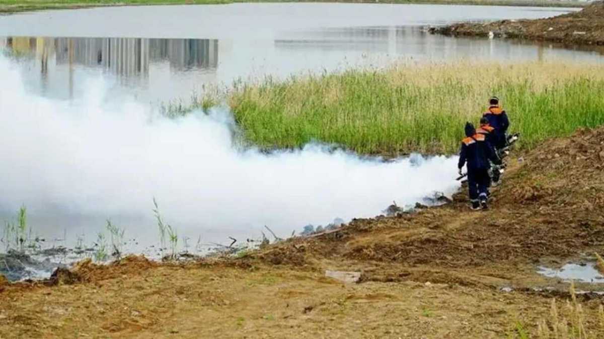 Борьба с комарами и мошками: в Астане стартовал первый тур дезинсекционных работ