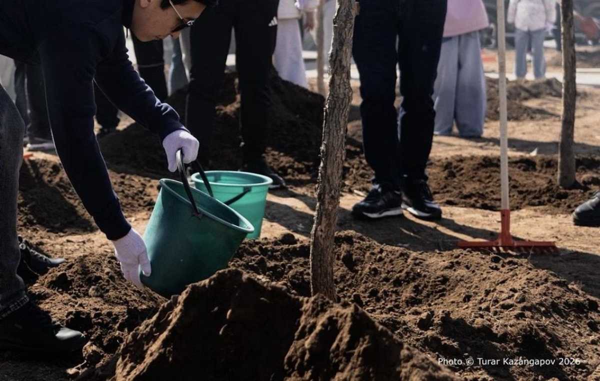 Около 300 деревьев высадили столичные жители в парке «Ататюрк»