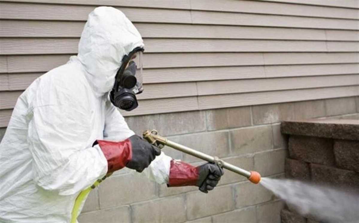 Обработали 28 тысяч домов: в Астане продолжается дератизация