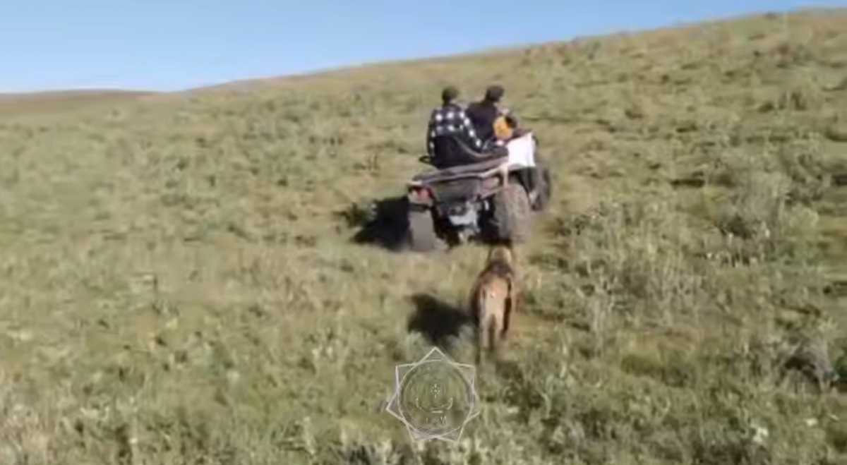 Пропавшего мужчину нашли с помощью дрона в Жетысуской области