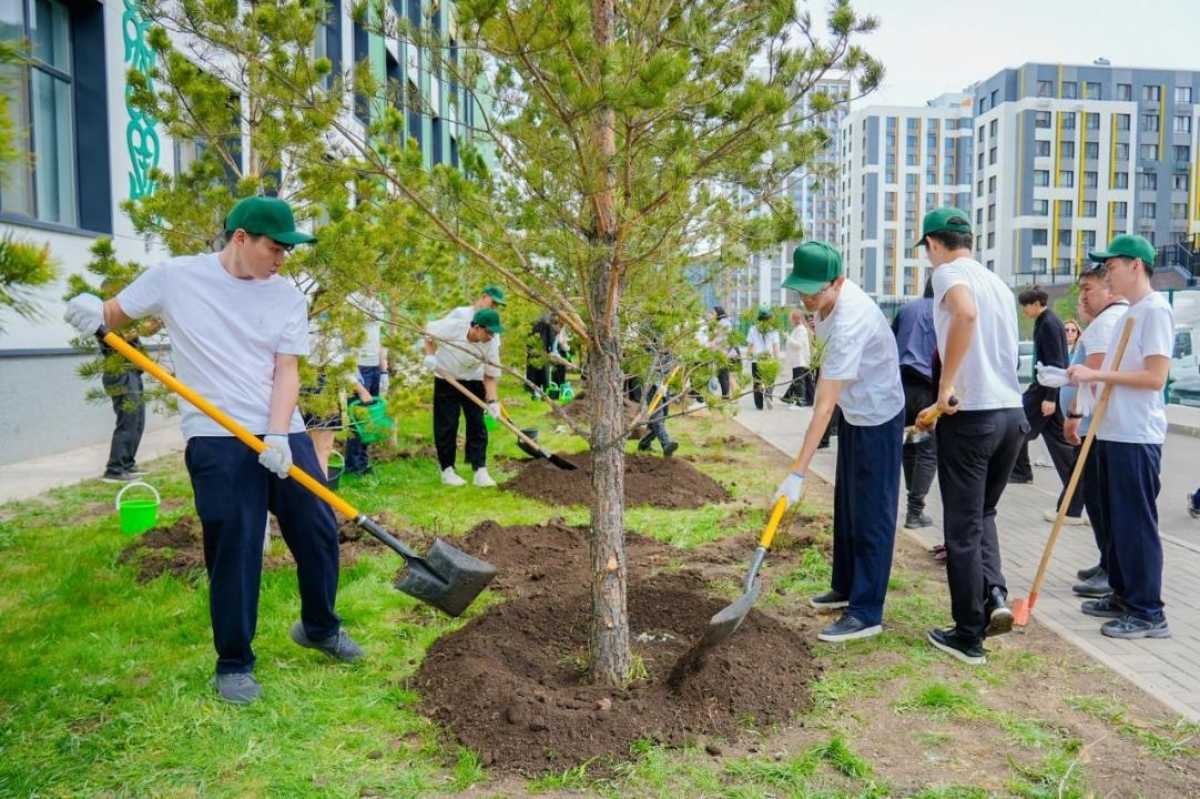 «Таза Қазақстан»: выпускники школ Астаны посадили деревья