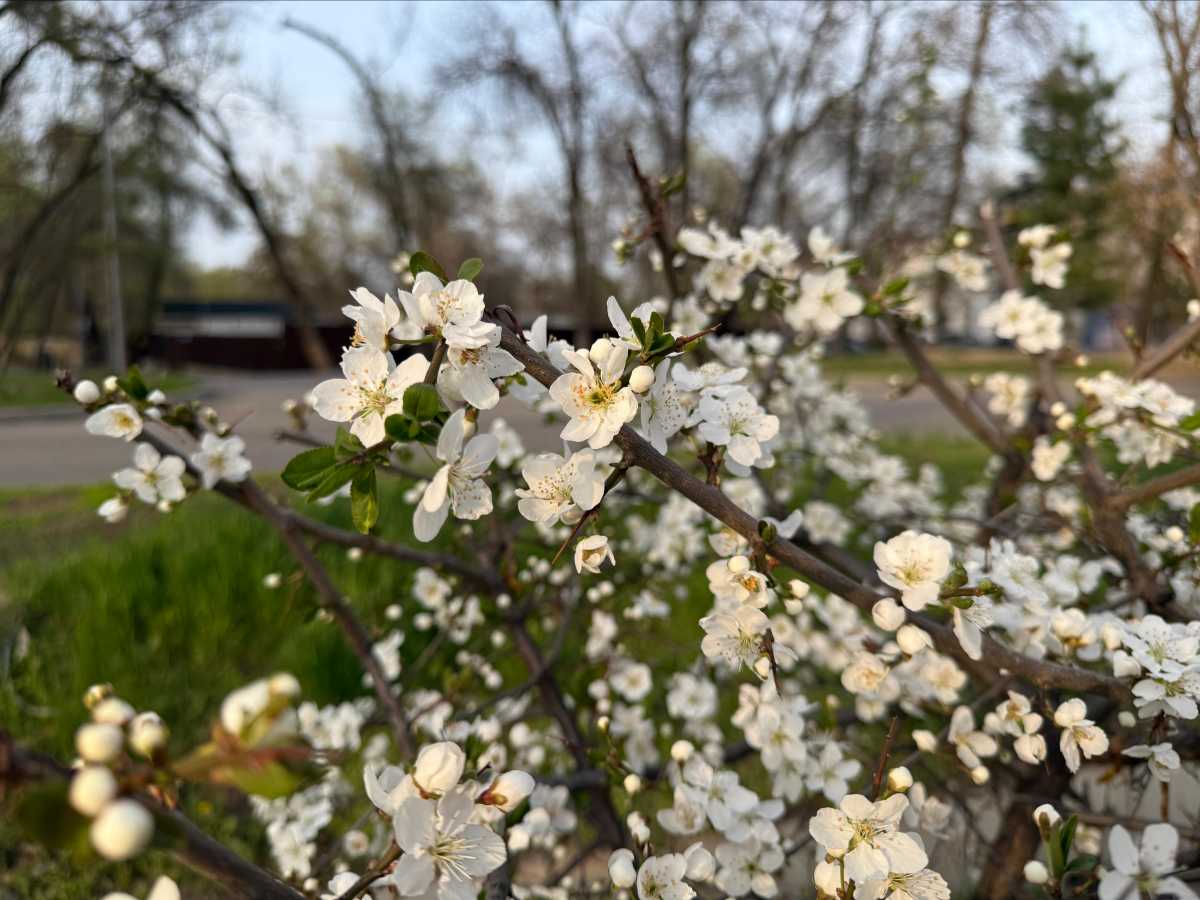 Майские выходные в Алматинской области: велопробег, фестивали и большой спорт — афиша на 1–9 мая