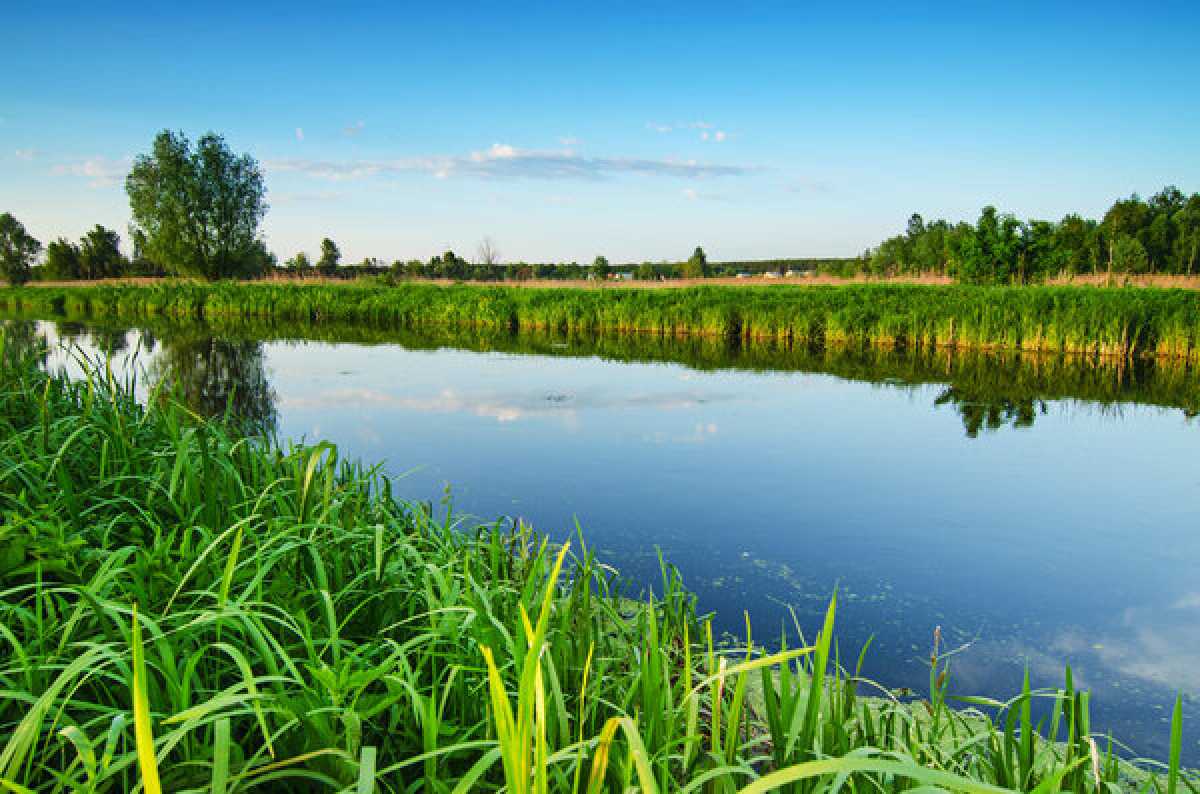 Тело девушки нашли в водоёме в Костанайской области