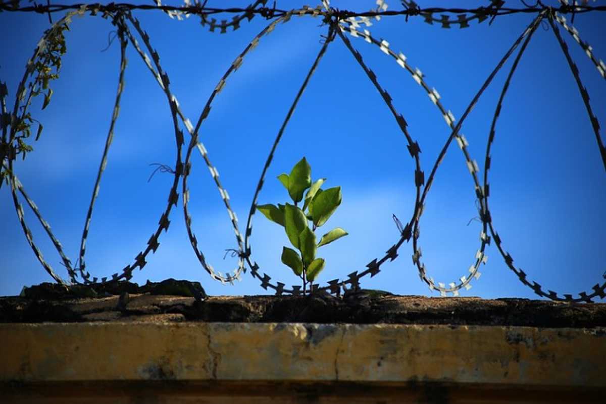 Двое осужденных завершили обучение в 11 классе в учреждении УИС Кызылординской области