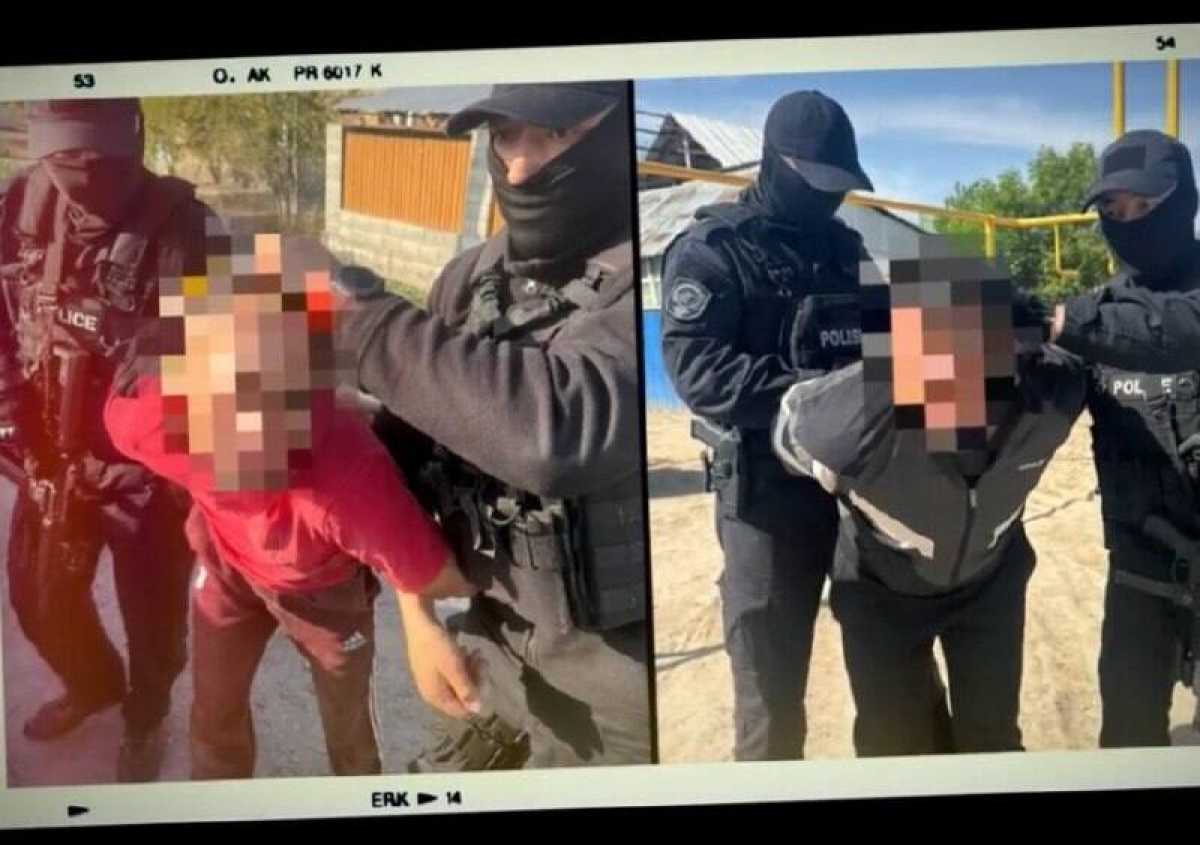 От степи до трассы: полиция раскрыла схему скотокрадства
