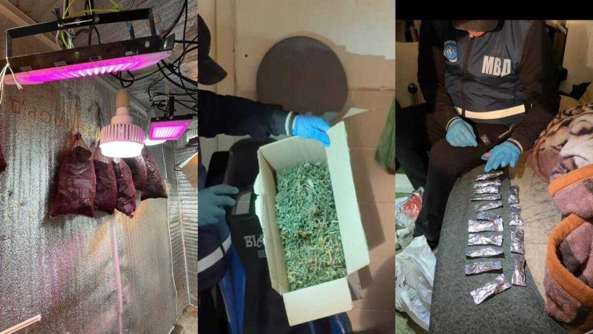 Лабораторию по выращиванию марихуаны обнаружили в Мангистауской области