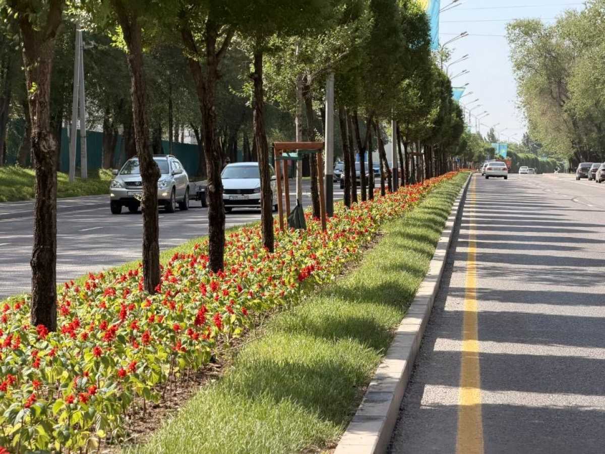 Более 425 тысяч квадратных метров цветников украсят Алматы в 2026 году