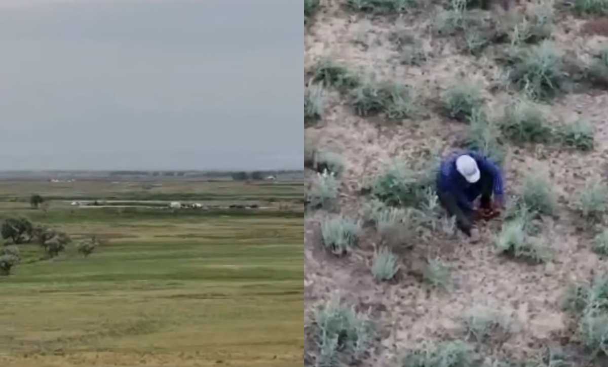 Пропавшего мужчину нашли с помощью беспилотника в Жамбылской области