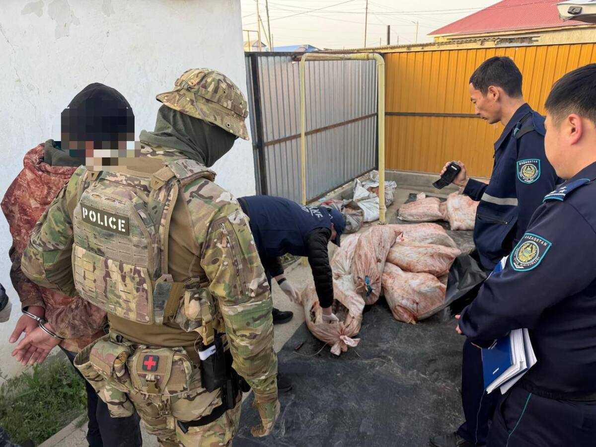 Полиция пресекает незаконный оборот осетровых рыб в Атырауской области
