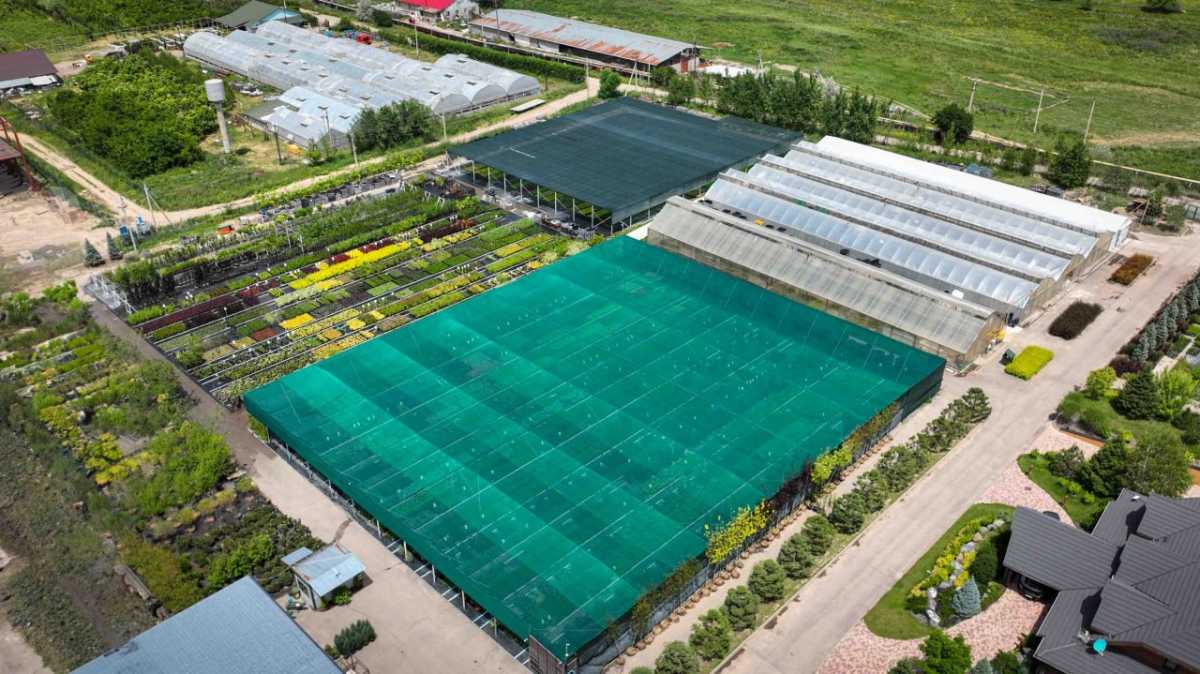 Глава государства посетил тепличный комплекс GREEN ЕСО