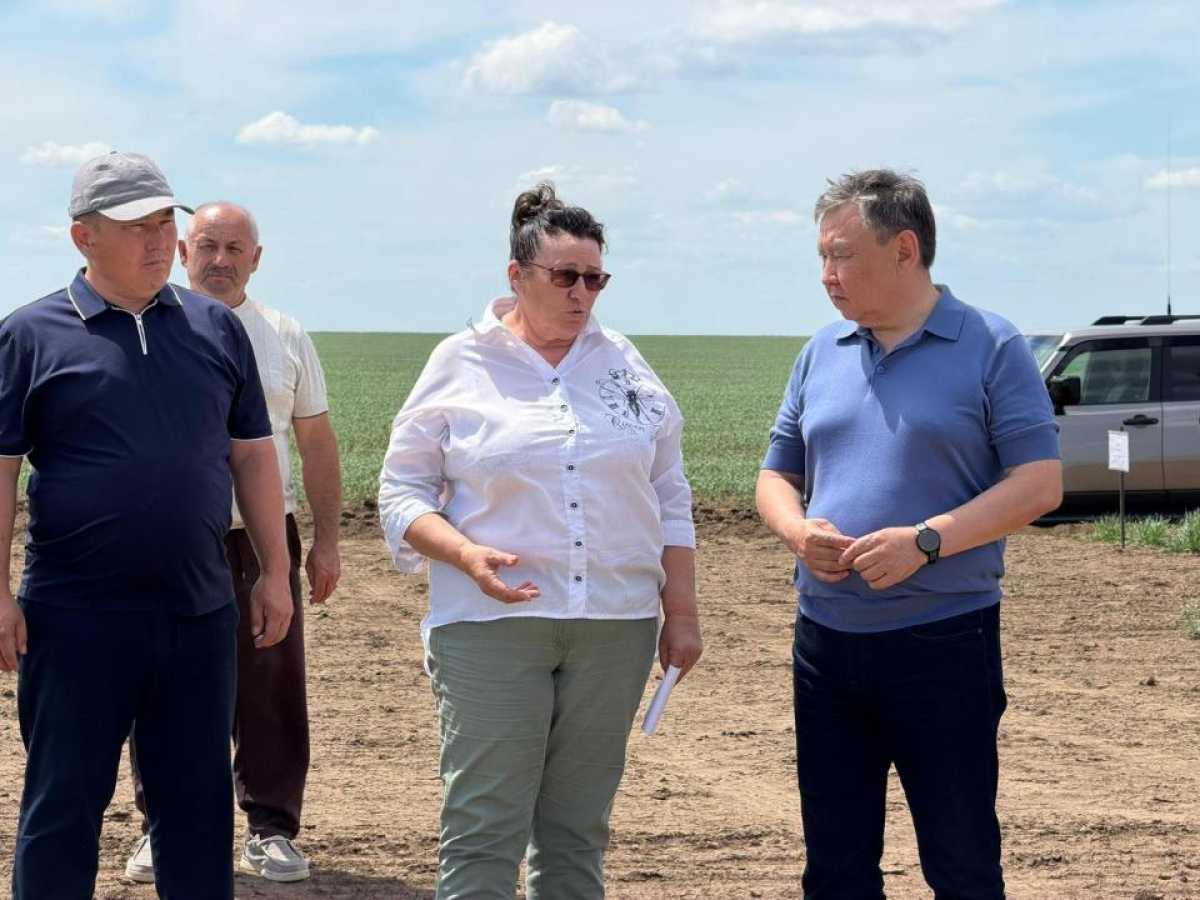 Более 200 тысяч гектаров посевов обработано в Жаркаинском районе