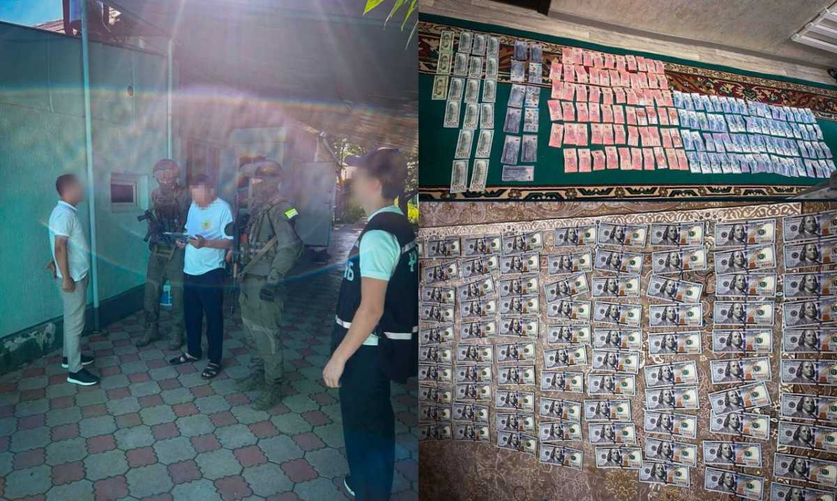 Посредничество на границе: 17 человек стали фигурантами дела после спецоперации КНБ в Туркестанской области