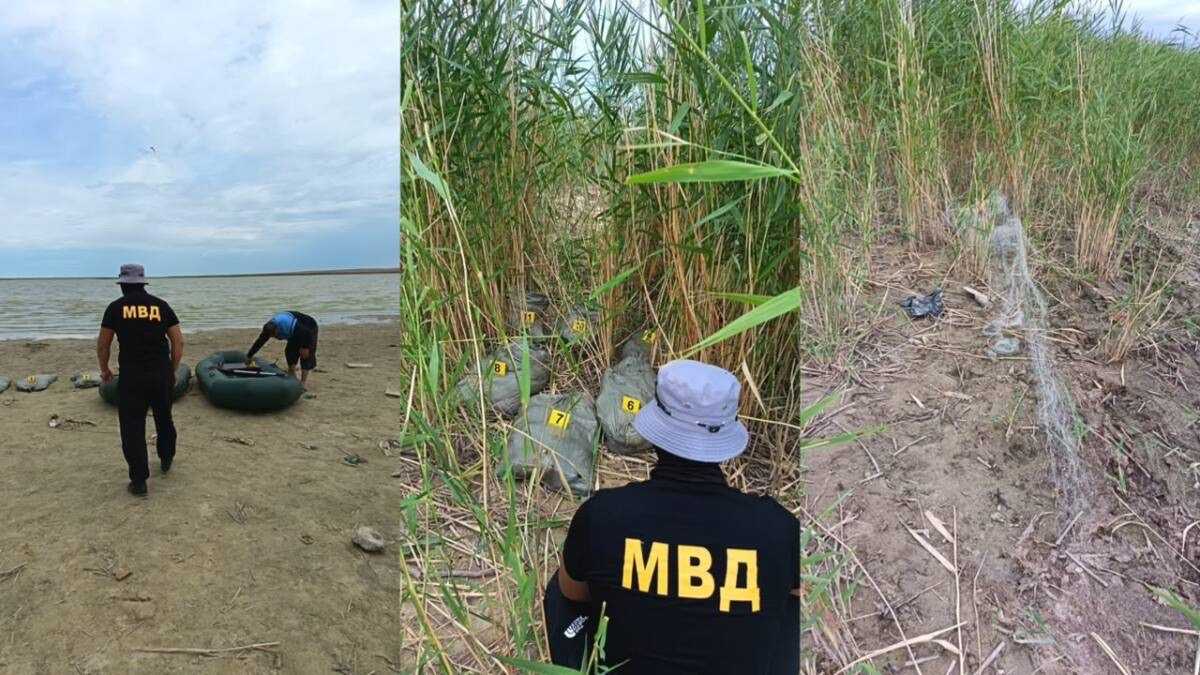 Шестерых браконьеров задержали на территории природного заказника в Актюбинской области