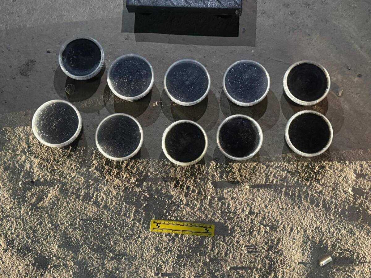 Более 5 килограммов чёрной икры изъяли у жителя Мангистауской области