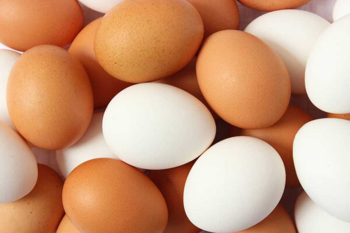 Крупную партию нелегальных куриных яиц изъяли и уничтожили в Шымкенте