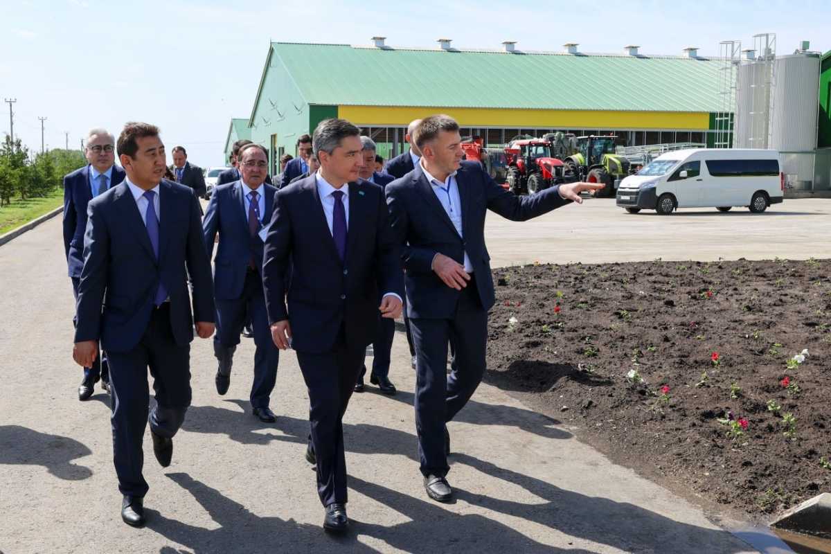 СКО обеспечивает шестую часть переработки молока в стране: Бектенов посетил агропредприятия региона
