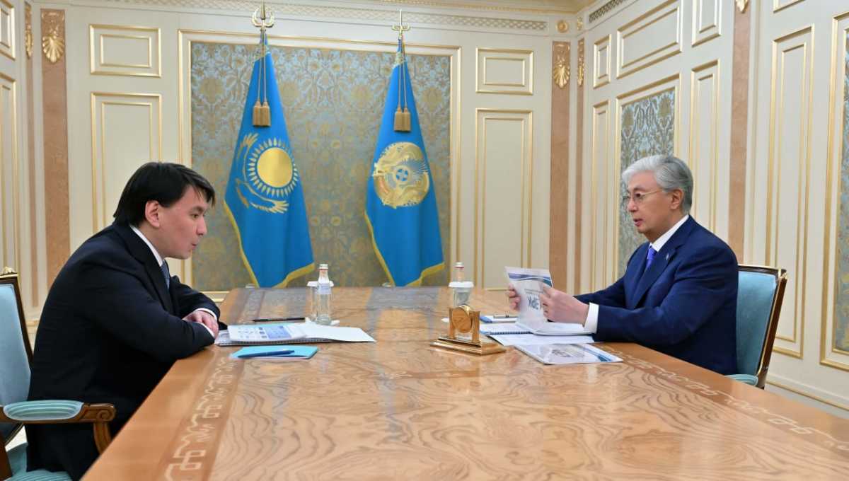 Токаев заслушал отчёт о либерализации экономики и развитии конкуренции