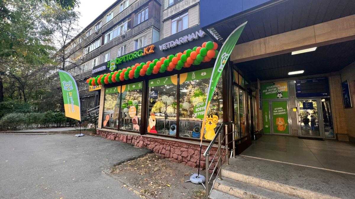 Как выбрать зоотовары для питомца: практичный подход для заботливых владельцев