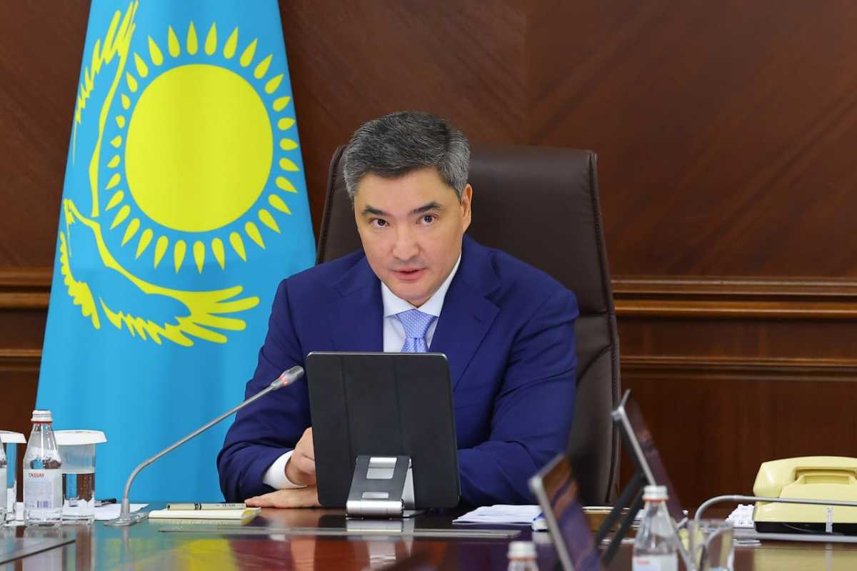 Бектенов поручил за неделю провести ревизию всех инвестпроектов в Казахстане