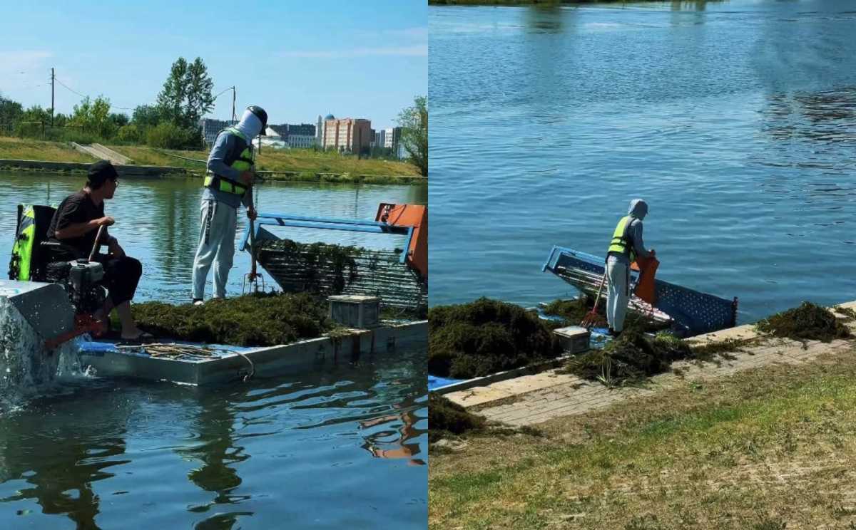 В Астане продолжаются работы по очистке реки Есиль
