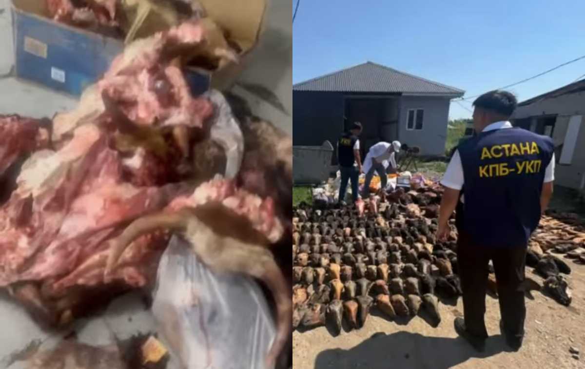 Подпольный мясной цех ликвидировали в Астане: изъято более трех тонн продукции