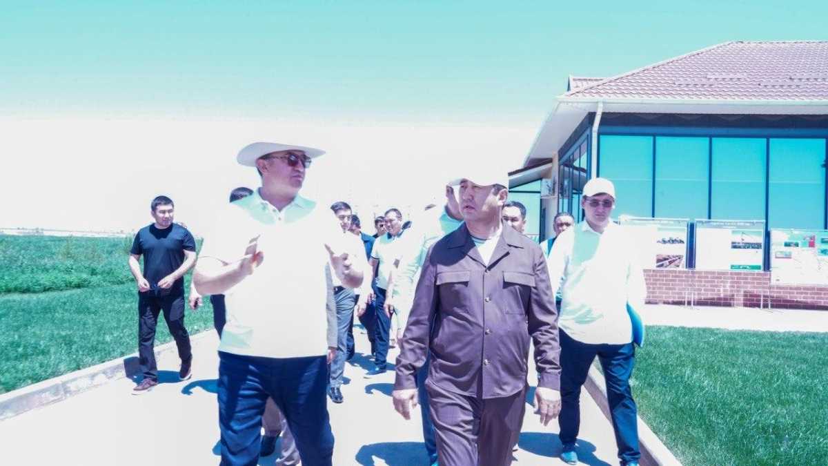 Айдарбек Сапаров: Животноводство становится одной из ключевых точек роста отечественного АПК