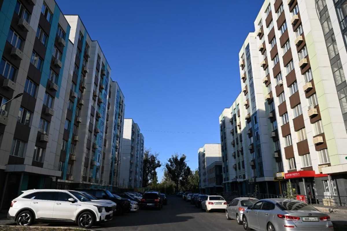 Почти 1400 заявителей получили отказ по программе «Алматы жастары»