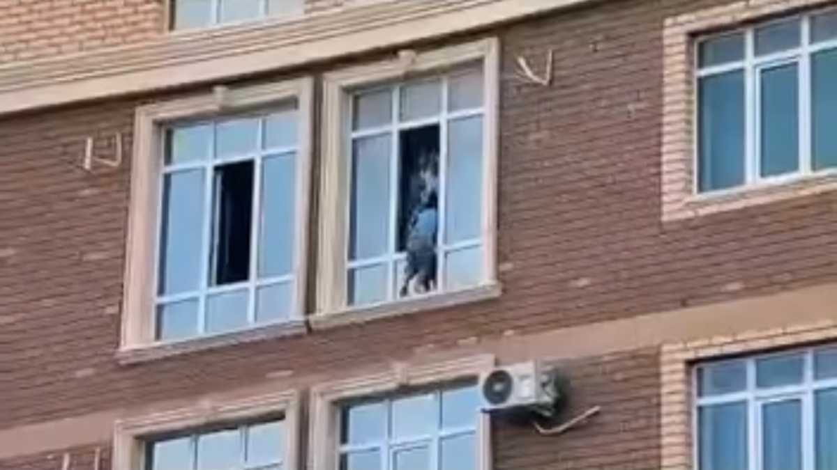 Стоял на внешнем подоконнике 10-го этажа: полицейские спасли ребёнка в Актау
