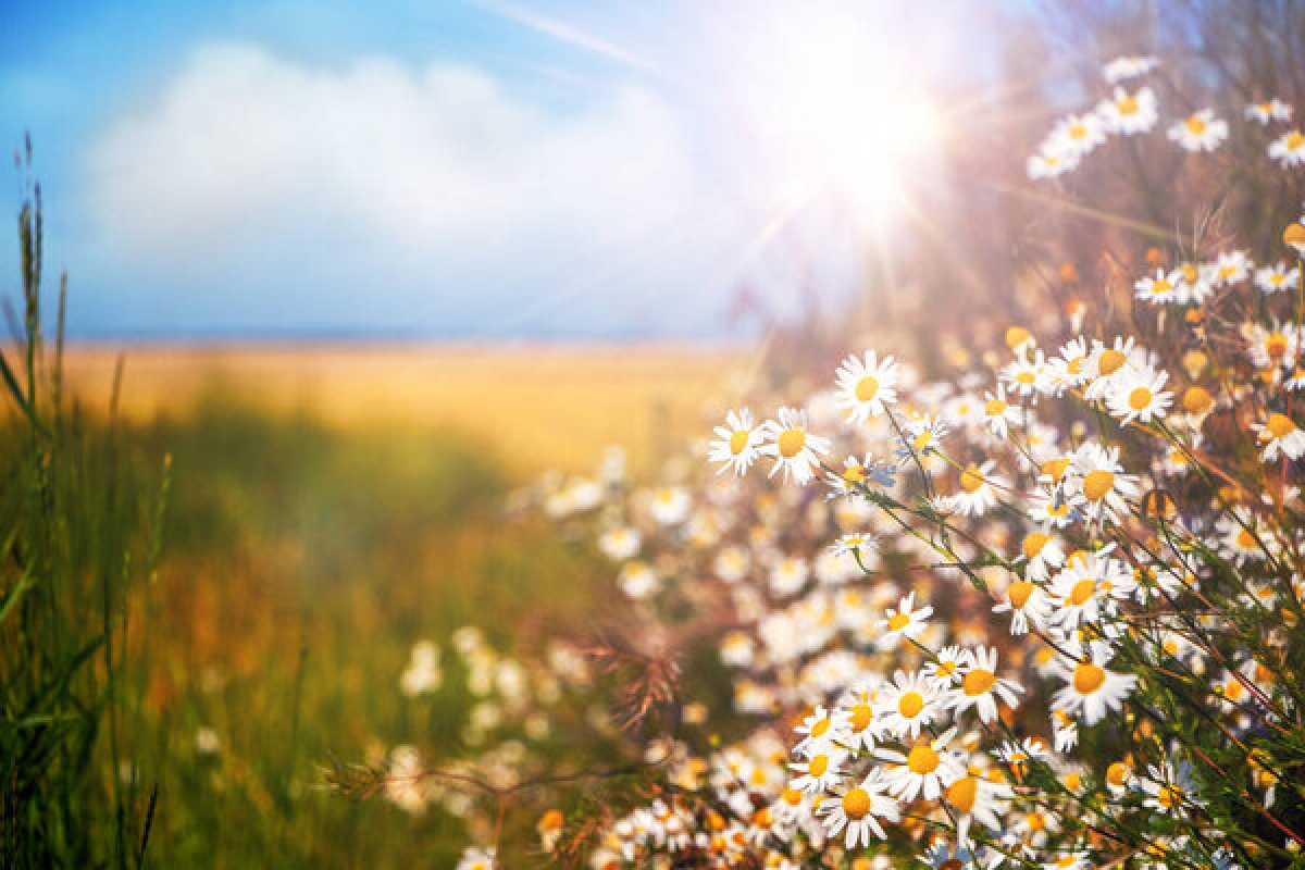 До +45 градусов и сильные ливни: какой будет погода в Казахстане в июле