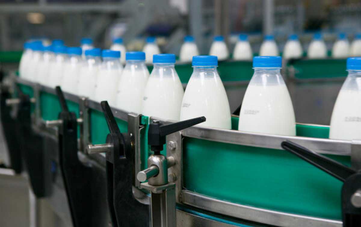 Производство продуктов питания в Казахстане выросло почти на 15%