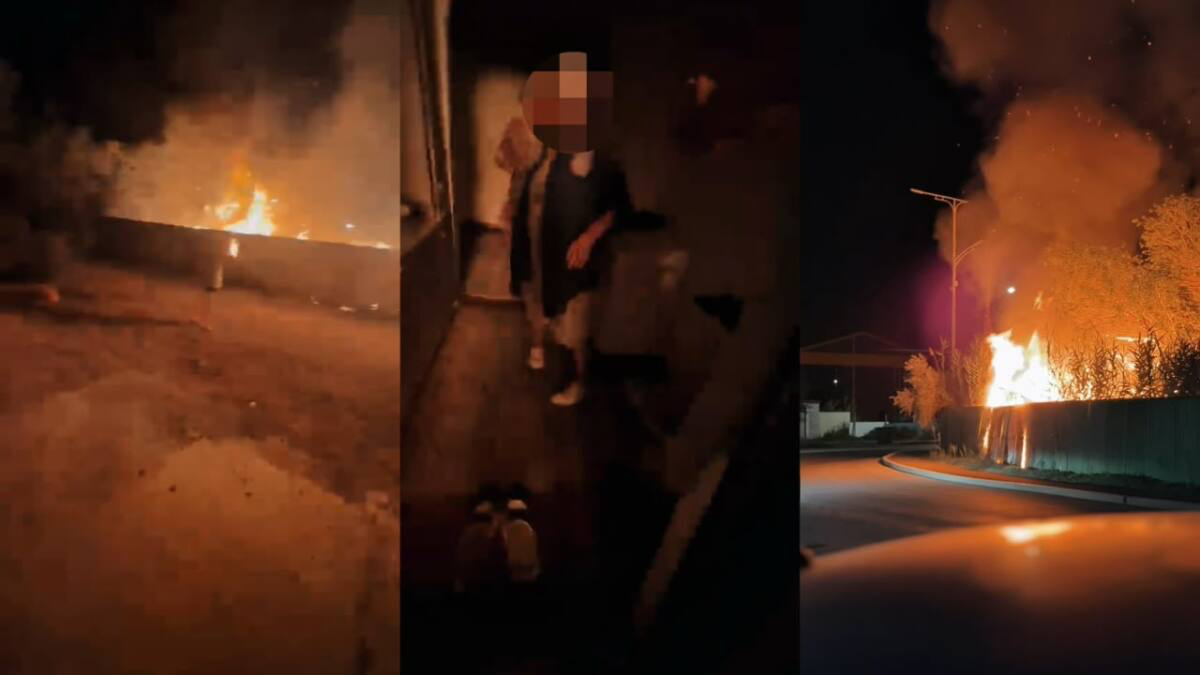 Загорелось дерево у линии электропередачи: полицейский спас людей в Атырау