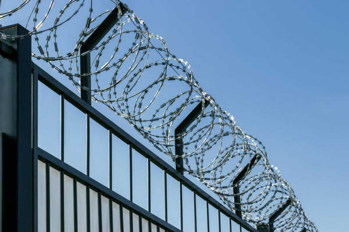 Осужденные вымогали деньги за «покровительство» в колонии в ВКО: вынесен приговор