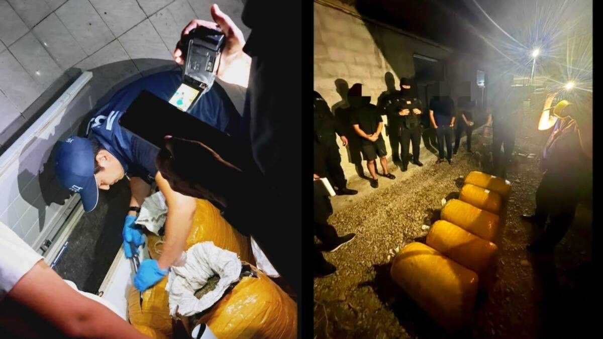 Более 83 кг марихуаны обнаружили в хозяйственном помещении в Мангистауской области: задержан мужчина