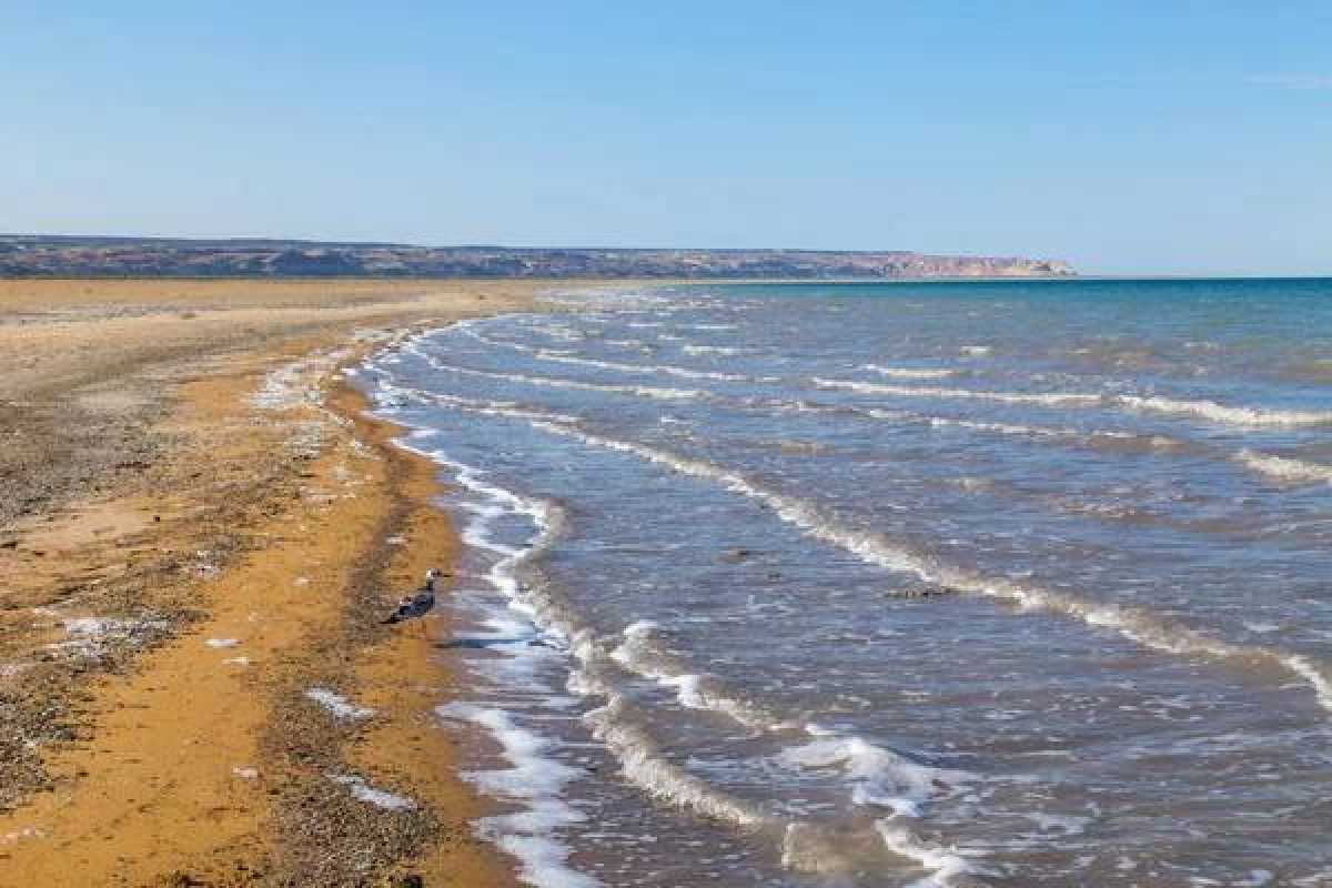 Объём воды в Северном Арале достиг 23,4 млрд кубометров
