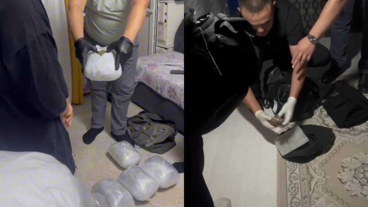 Канал поставки наркотиков пресекли в Улытауской области: изъято 38 кг марихуаны