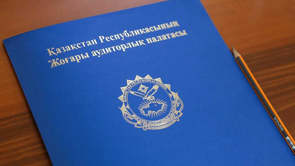 Без «лишних» сопровождающих: в Казахстане утвердили новый норматив о спортивных делегациях