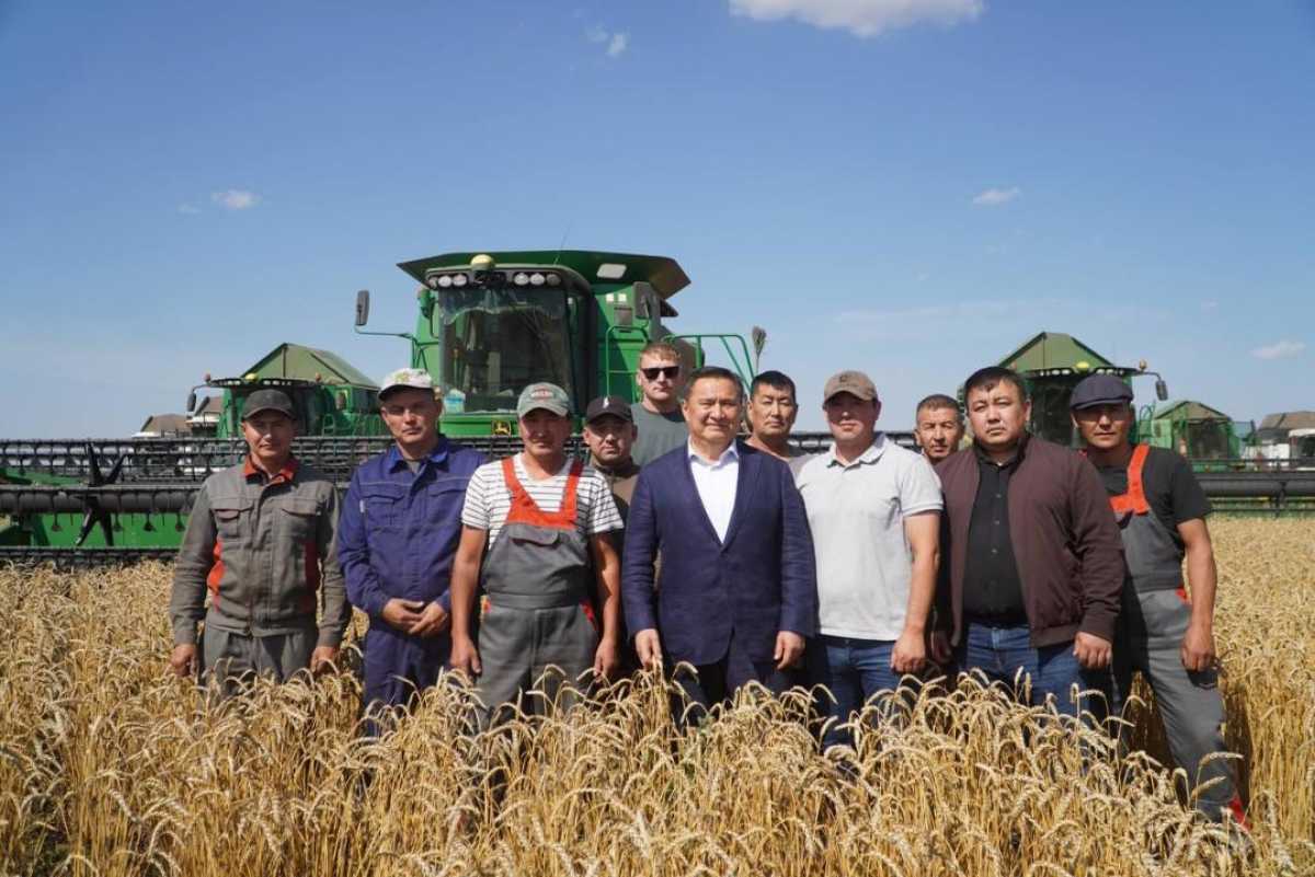 Марат Ахметжанов ознакомился с ходом уборочной кампании в Зерендинском районе