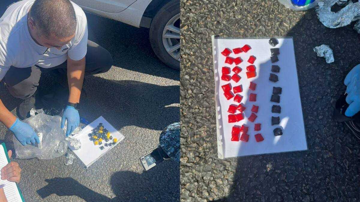 Две «бомбы» с наркотиками нашли в машине на въезде в Петропавловск
