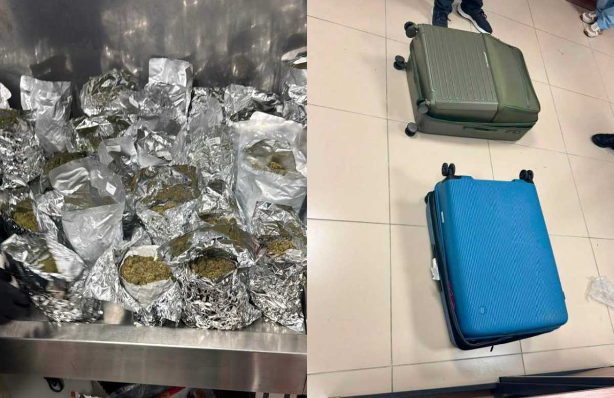 Под видом косметики: иностранцы пытались ввезти в Казахстан более 32 кг наркотиков