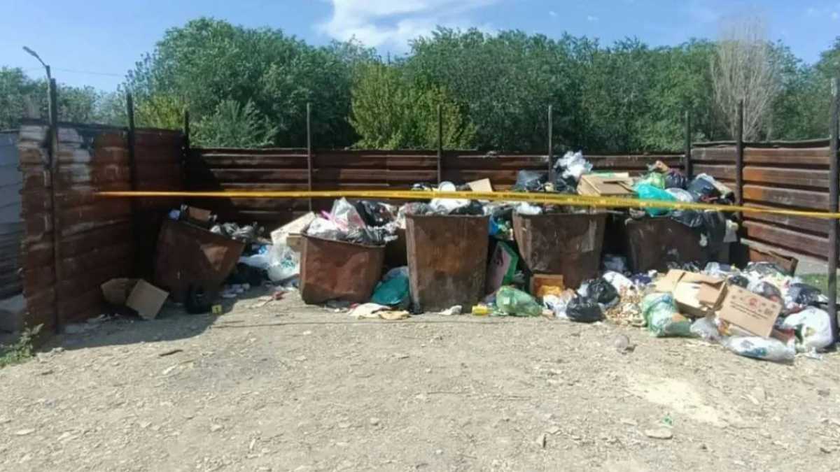 Мать младенца, найденного в мусорном контейнере, установили в Жамбылской области