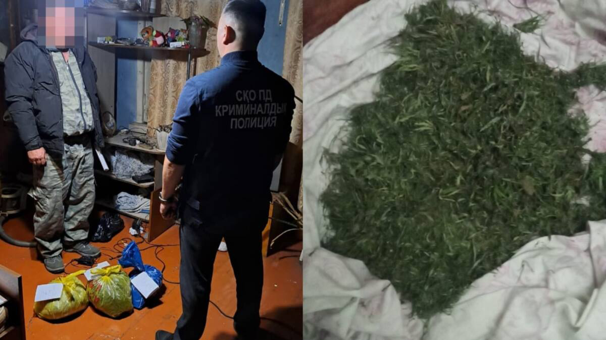 Около 2 кг марихуаны изъяли у жителя СКО