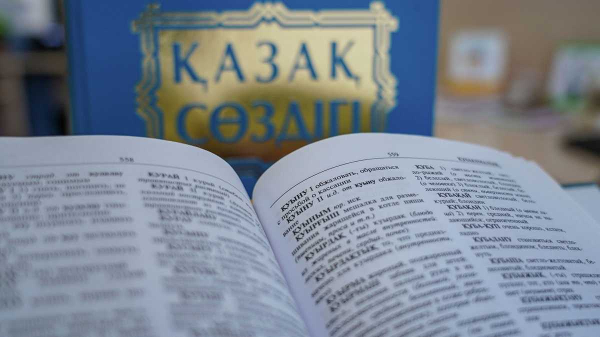 «Конкретных сроков нет»: в Миннауки высказались о переходе казахского языка на латиницу