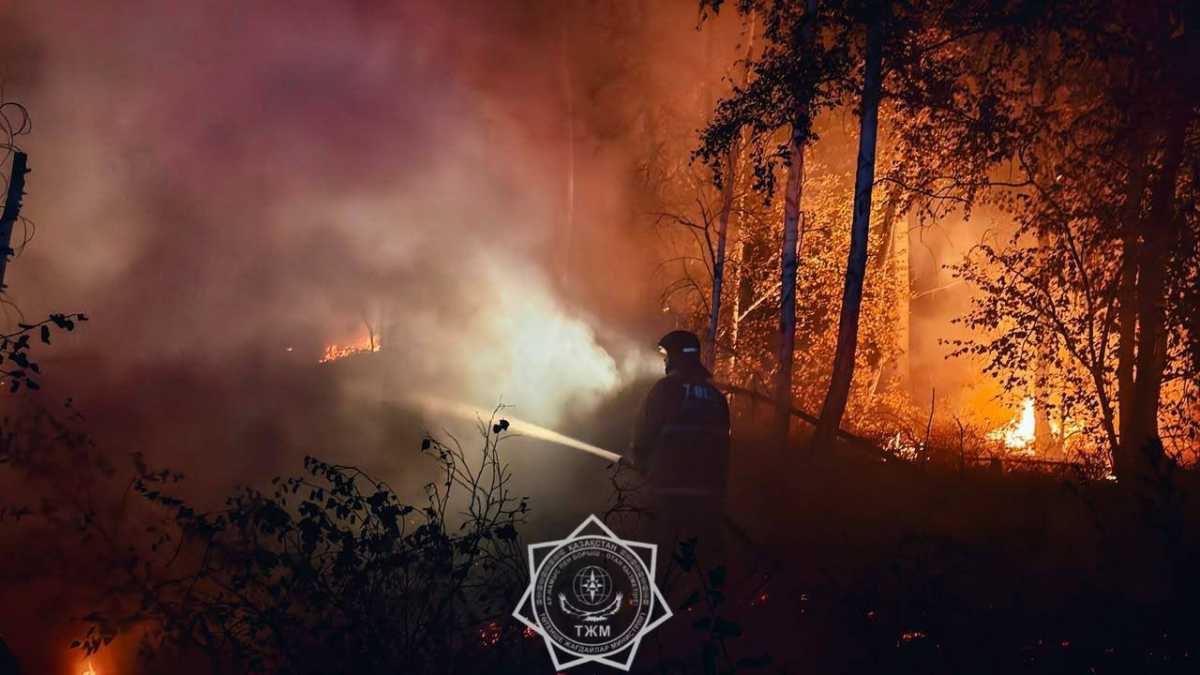 Более 100 человек тушили крупный природный пожар в Костанайской области