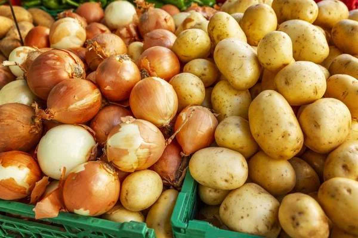 Овощи по фиксированным ценам начали продавать в Алматы