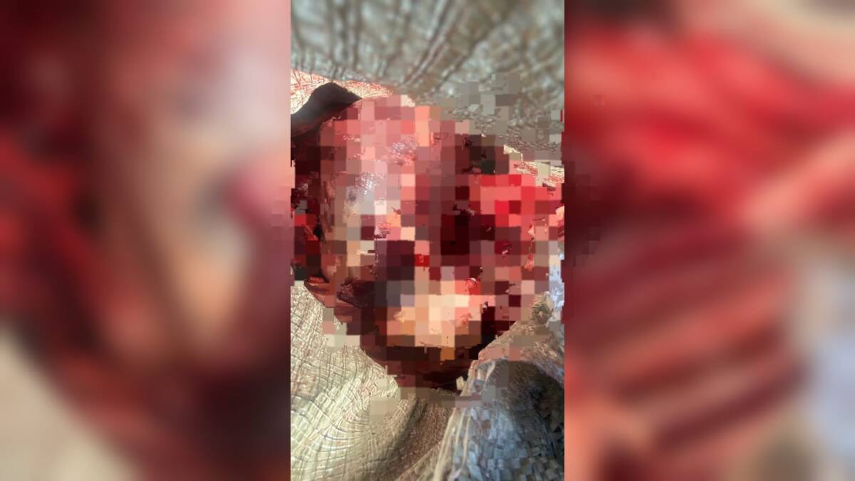 Три ружья и мешки с мясом дикого животного обнаружили в машине в Караганде