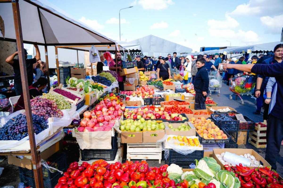 Более 600 тонн продукции доставят на ярмарку в Астану из двух областей