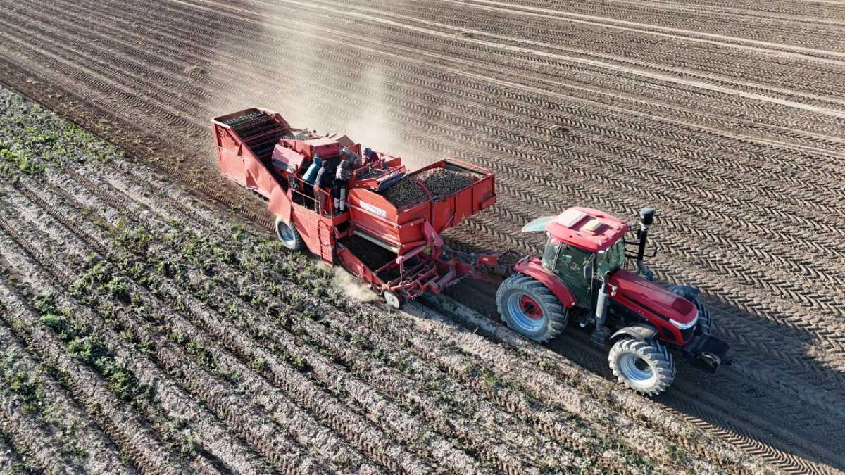 С полей Алматинской области собрано более 1,5 миллиона тонн продукции