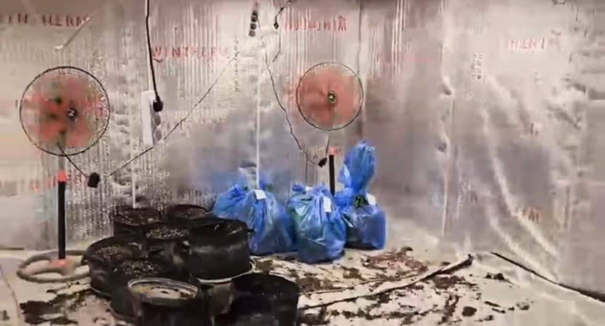 Двое мужчин оборудовали мини-теплицу для выращивания каннабиса в Жетысуской области